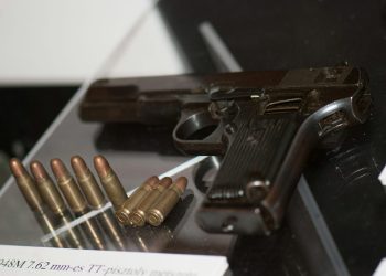 Kapstadt stoppt vorerst Einsatz des Schusswaffen-Überwachungssystems ShotSpotter