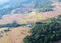 Lasertechnik enthüllt Millionen-Zivilisation im Regenwald des Amazonas