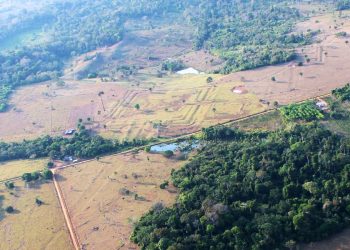 Lasertechnik enthüllt Millionen-Zivilisation im Regenwald des Amazonas
