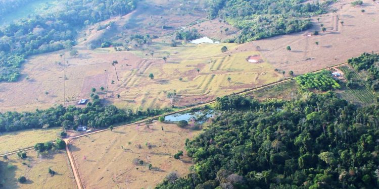 Lasertechnik enthüllt Millionen-Zivilisation im Regenwald des Amazonas
