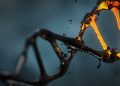 3D-DNA-Kartierung deckt neue Risikogene für Morbus Crohn auf