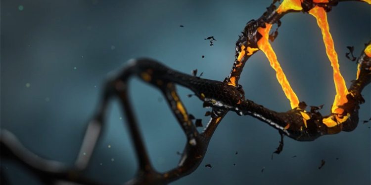 3D-DNA-Kartierung deckt neue Risikogene für Morbus Crohn auf