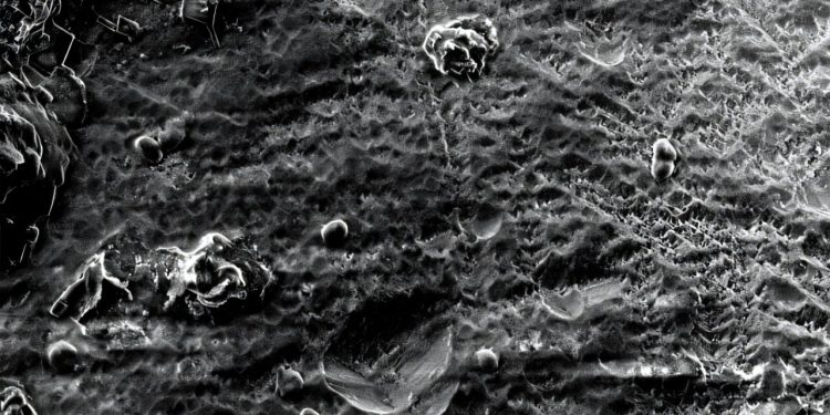Gentech-Bakterium beschleunigt CO₂-Speicherung und liefert Batteriemetalle