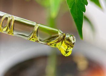 THC-Tropfen lindern Albträume bei Trauma-Patienten deutlich
