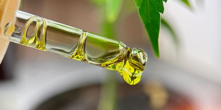 THC-Tropfen lindern Albträume bei Trauma-Patienten deutlich