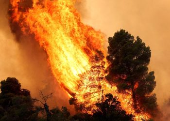 Studie warnt: Waldbrandflächen in Europa könnten sich fast verdreifachen