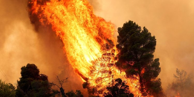 Studie warnt: Waldbrandflächen in Europa könnten sich fast verdreifachen